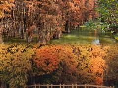 -星湖旅游景区七星岩