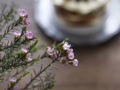 -汇金缪斯影城(八佰伴店)