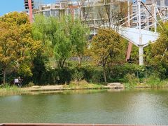 -新江湾城公园