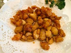 掌中宝-大方圆酒楼(新颜东路店)