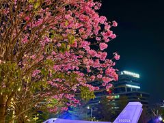 -东莞松山湖万象汇