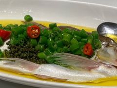 青花椒蒸白水鱼-荣兴酒家(徐家汇店)