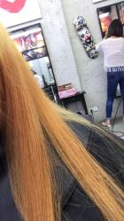 -SALON V