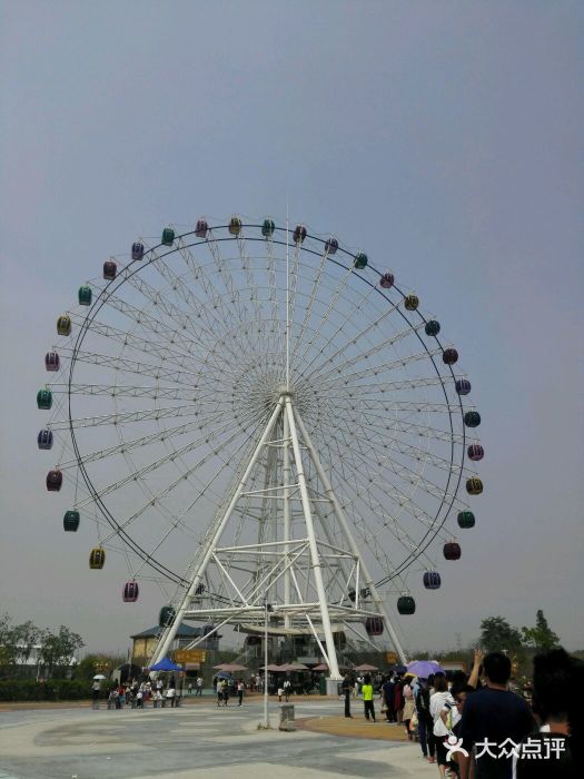 扬州乐园摩天轮图片