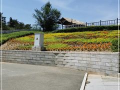 -大青山野生动物园