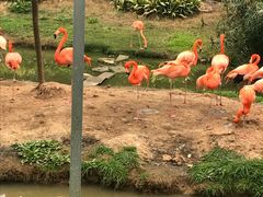 -无锡动物园·太湖欢乐园