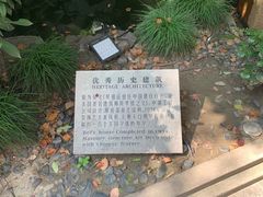 -荣府宴(南阳路店)
