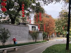-荔湾湖公园