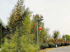 -南湖国家城市湿地公园