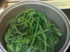 -南汇水蜜桃采摘(大团店)