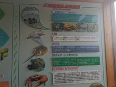 -北海金海湾红树林生态旅游区