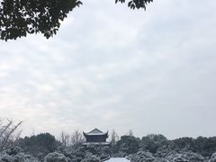 -花溪公园