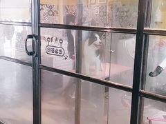 -西元前宠物酒店(郑庄府邸店)