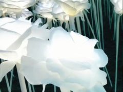 -爱来魔相4D艺术馆(济州中文馆)