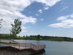 -东郊湿地公园