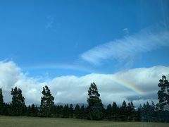 -Patagonia Chocolates(皇后镇店)