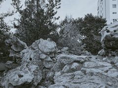 -常州古运河南大街文化旅游区-人民公园