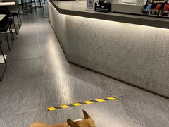 -熊叔熊婶面包房(团结湖店)