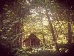 -五营红松林海景区