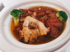 蹄膀-破店(井大店)