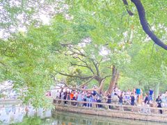-西园戒幢律寺