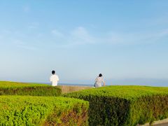 -南汇嘴观海公园