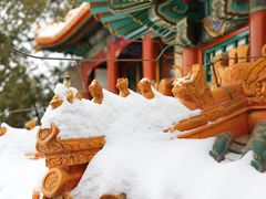 -颐和园-画中游