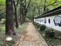 -上海佘山国家森林公园天马山园