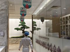 -柏乐口腔医院·舒适化无痛种植牙中心(东盟商务区院)