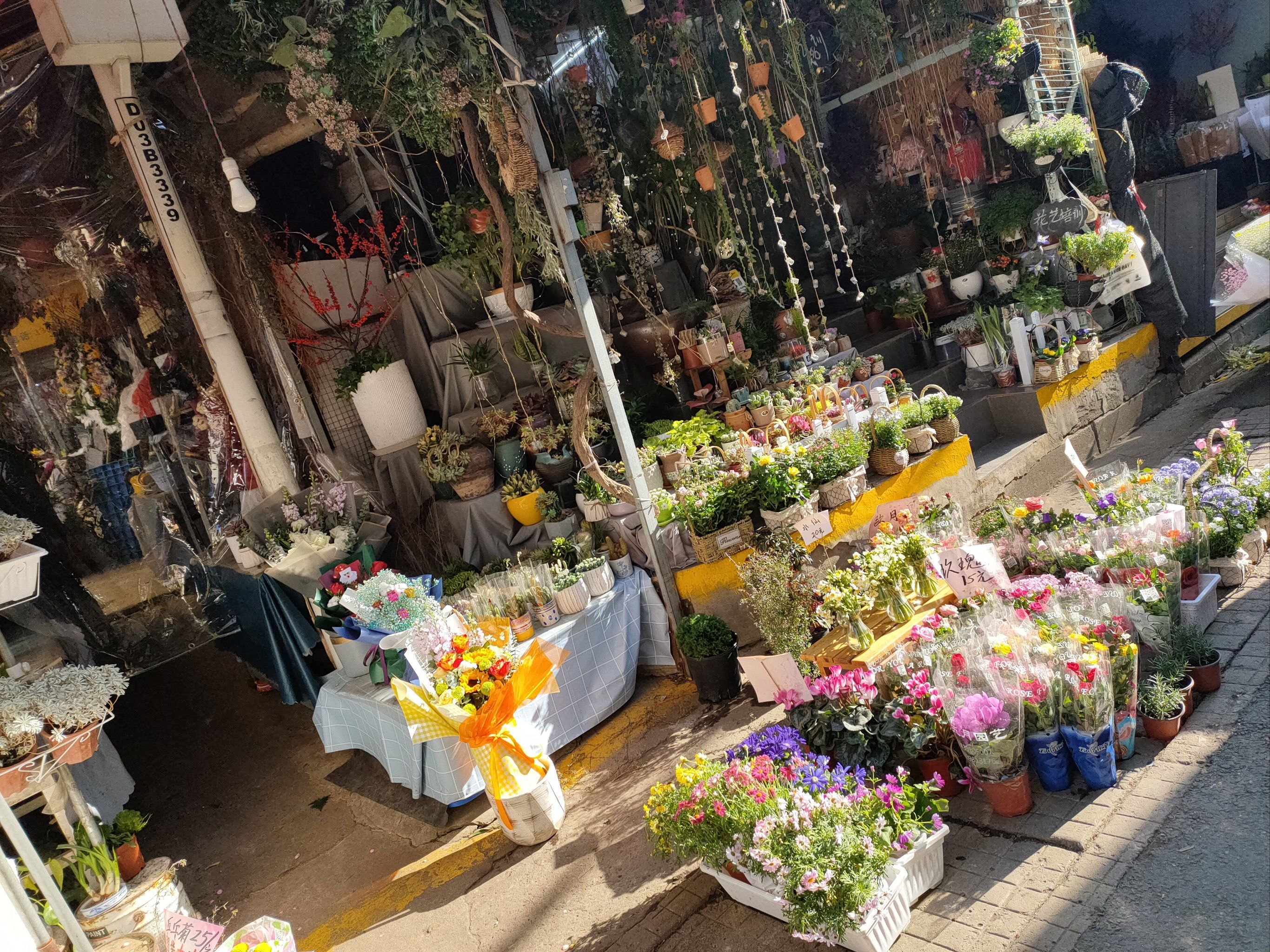循礼门花市