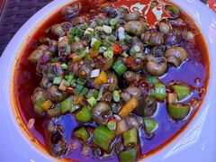 -京悦南门涮羊肉·羊蝎子火锅(田林路店)