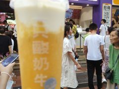 -一只酸奶牛(八一路店)