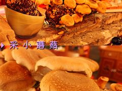 -谭鸭血老火锅(日本东京店)