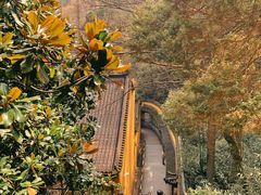 -九华山风景区
