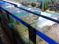 水产区-船梆煮•蒸汽海鲜·炉火烤肉(五四广场店)