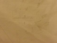 android_upload_pic-上海外滩豫园万丽酒店
