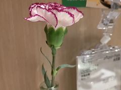 -Aqua Oasis 水天堂(相城天虹商场店)