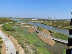 -春花秋色城市公园