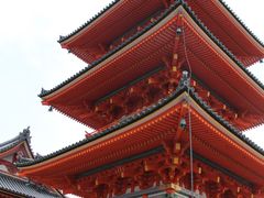 -有栖山 清光院 清水寺