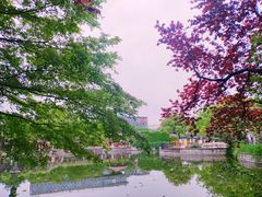 -嘉定紫藤园