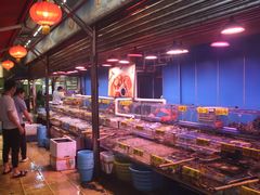 -四海之家(蛇口店)