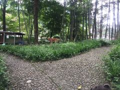 -九华山风景区月身宝殿