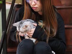 -李小姐の猫咖啡馆(五角场店)