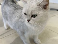 -怪兽屋·羊驼·猫咖·狗咖(俊华广场店)