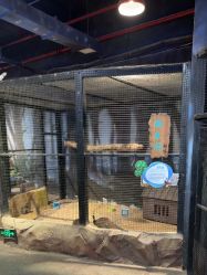 -酷嗒动物文化乐园(cutezoo西溪乐天城店)