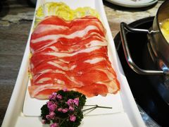 -顺德公广东猪肚鸡·煲仔饭(白石洲店)