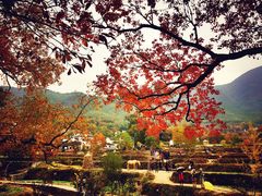-塔川景区