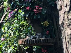-耳艺采耳·足疗·按摩SPA(市桥店)