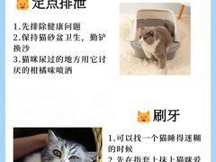 -申普宠物医院·眼科·心内科·影像科(普陀分院)
