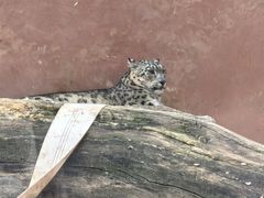-青藏高原野生动物园